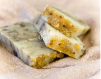 ���� ����������� �����