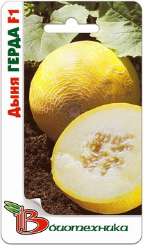 ���� ����� F1