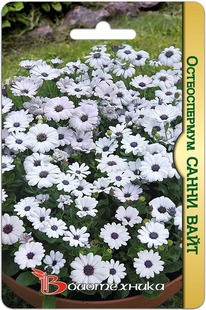 ������������ ����� ����