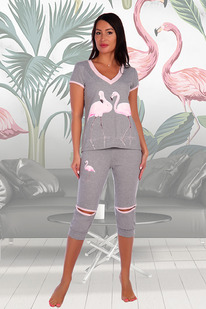 ������ 6102