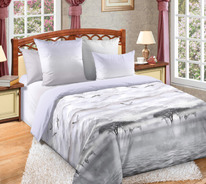 ������� ���������� ����� �� ������� ����������� ����