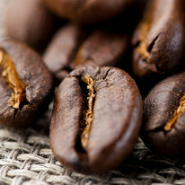 ����� ������ - ���� � ����� 