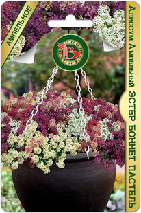 ������� ����� ������ �������