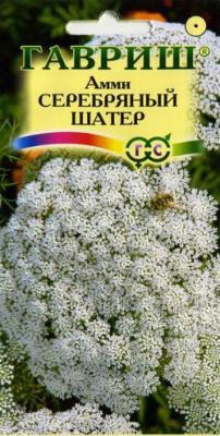 ���� ���������� �����