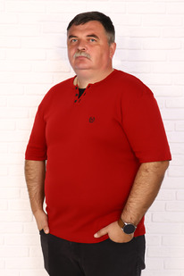 �������� 5950