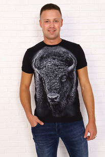 �������� 24803