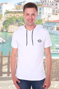 �������� 16503