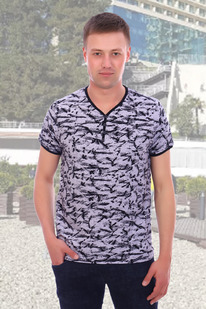 �������� 17503