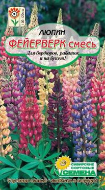 ��������� ����� ����� ��  50��