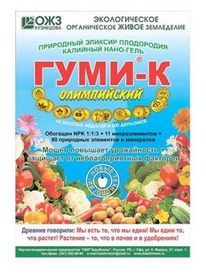 ����-� �����������