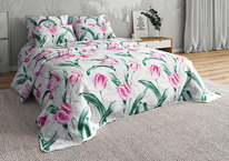 ������� ���������� ����� �� ���� ������� �������� �� �����