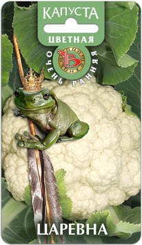 ������� ������� �������