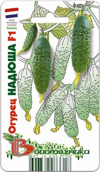 ������ ������ F1