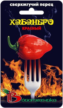 ����� ������ �������� �������