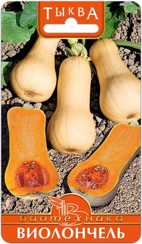 ����� ����������