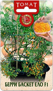 ����� ����� ������ F1 ���