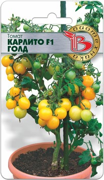 ����� ������� F1 ����