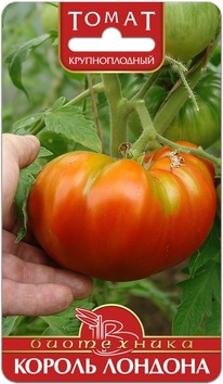 ����� ������ �������