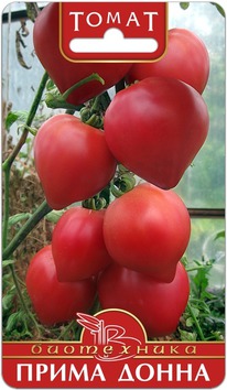 ����� ����� ����� F1