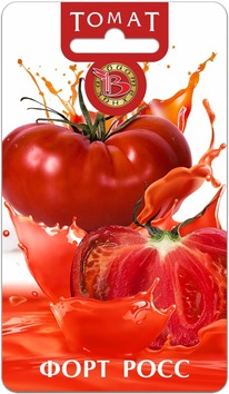 ����� ���� ����