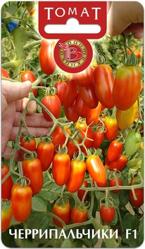 ����� ������������� F1