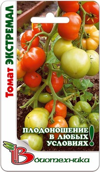 ����� ���������