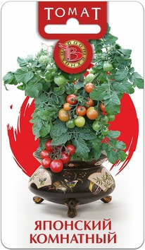 ����� �������� ���������