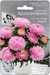 ����� ��������� ����������� �����