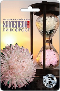 ����� ��������� �������� ������ ���� �����