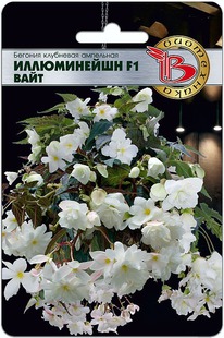 ������� ��������� ����������� F1 ����