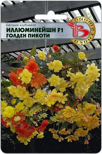 ������� ��������� ����������� F1 ������ ������