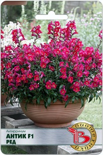 ���������� ����� F1 ���