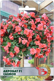 ��������� ��������� �������� F1 ������