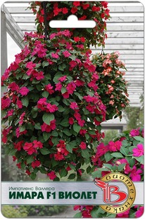 ��������� ������� ����� F1 ������