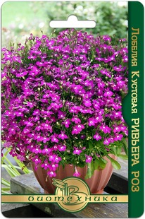 ������� �������� ������� ���