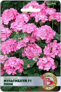 ���������� ���������� F1 ����