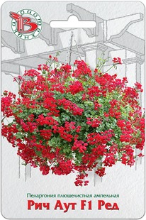 ���������� ������������ ��������� ��� ��� F1 ���