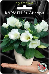 ������� ��������� ������ F1 ������