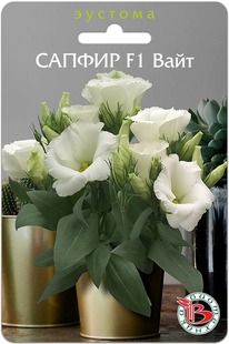 ������� ��������� ������ F1 ����