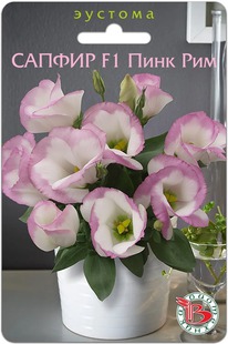 ������� ��������� ������ F1 ���� ���