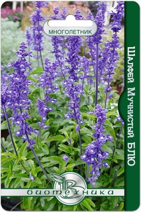 ������ ��������� ���