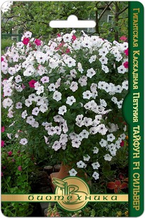 ������� ���������� ��������� ������ F1 �������