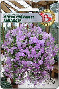 ������� ��������� ����� ������ F1 ��������