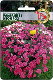 ������� ��������� ������� F1 ���� ���