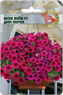 ������� ��������� ��� ���� F1 ��� �����