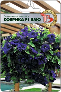 ������� ��������������� ������� F1 ���