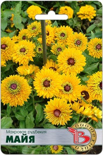 �������� ���� (��������)