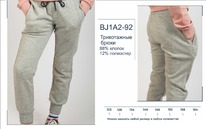  BJ1A2-92     BROSTEM