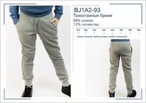  BJ1A2-93     BROSTEM