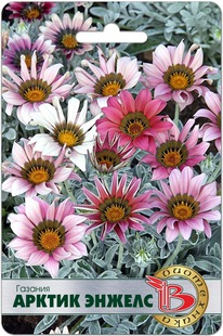 ������� ������ ������